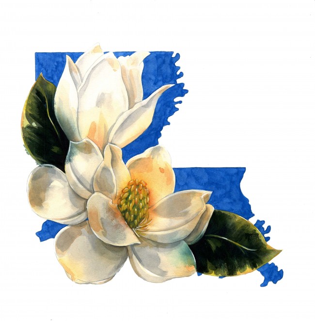 Louisiana's Fragrant Jewel (traditional watercolor)