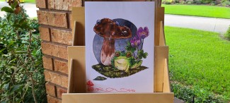 Frog and Mushroom- a watercolor illustration of a cute frog enjoying a recent rain.