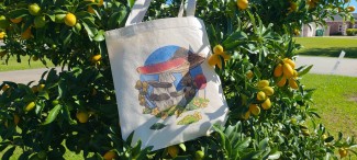Natural canvas tote bag with my multi mushroom illustration printed across it.