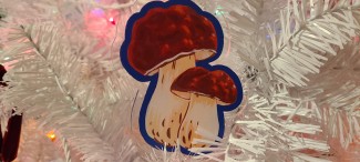 Mushroom Red Duo acrylic ornament in a white Christmas tree